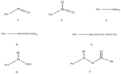 亚硝基-硝基芳香化合物-芳胺类